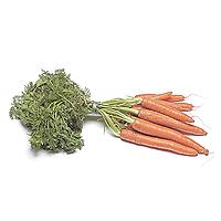 Zanahoria (bolsa-simientes)