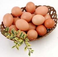 Huevos Ecológicos (Docena)