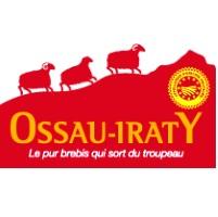Iraty de oveja (Pirineo Vasco-frances)